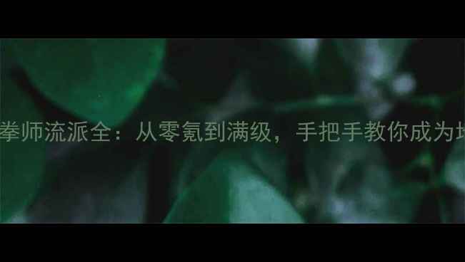 图片 上古卷轴5拳师流派全：从零氪到满级，手把手教你成为地下城主宰