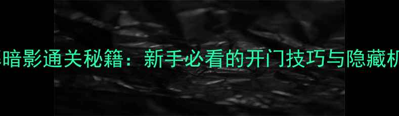 图片 古墓暗影通关秘籍：新手必看的开门技巧与隐藏机制2