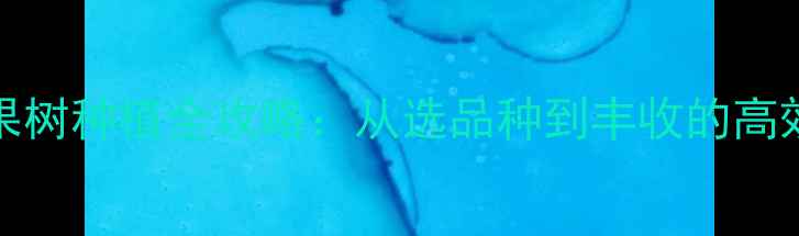 图片 最新HayDay果树种植全攻略：从选品种到丰收的高效技巧与技巧