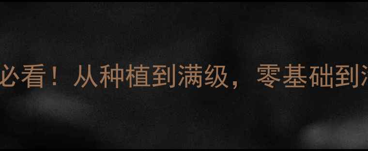 图片 梦幻西游树苗养成全攻略：新手必看！从种植到满级，零基础到满级全流程详解（附实战技巧）1