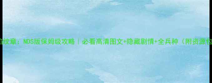 图片 火焰纹章：NDS版保姆级攻略｜必看高清图文+隐藏剧情+全兵种（附资源包）2