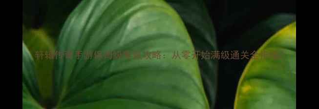 图片 轩辕传奇手游保姆级零氪攻略：从零开始满级通关全指南2