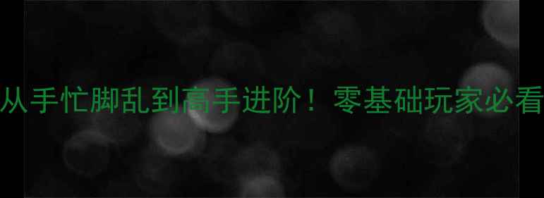 图片 飞行模拟器从手忙脚乱到高手进阶！零基础玩家必看的高效攻略