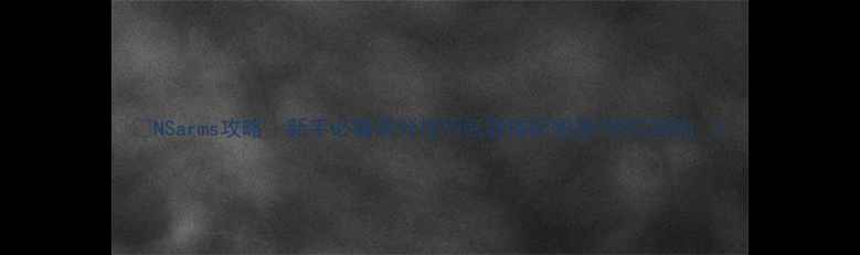 图片 🔥NSarms攻略｜新手必看高分技巧武器搭配图鉴+防坑指南🔥1
